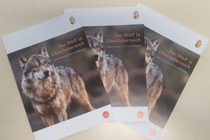Broschüre Wolf in Oberösterreich