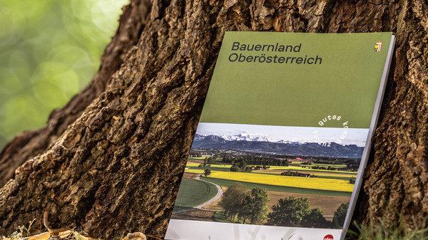 Foto: Land OÖ/Tina Gerstmair Bauernlandbuch lehnt an einem Baum.